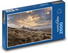 Schaf - Weide, Wiese Puzzle 2000 Teile - 90 x 60 cm