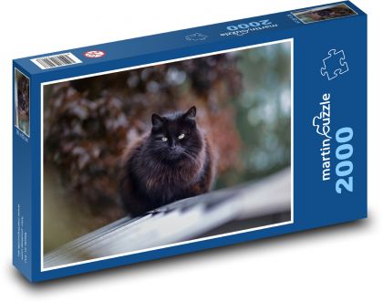 Katze - schwarz, Tier - Puzzle - 2000 Teile