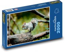 Veverka - zvíře, les Puzzle 2000 dílků - 90 x 60 cm