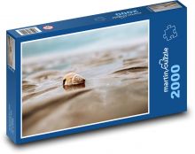 Morské mušle na pobreží Puzzle 2000 dielikov - 90 x 60 cm