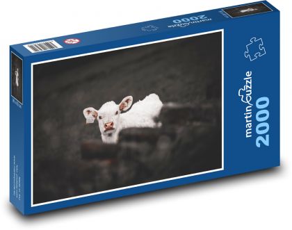 Krava - farma, zviera - Puzzle 2000 dielikov, rozmer 90x60 cm 