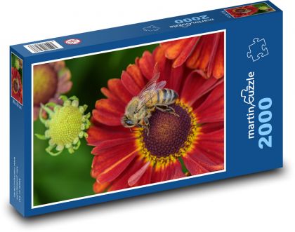 Kvety - včela, opelenie - Puzzle 2000 dielikov, rozmer 90x60 cm 