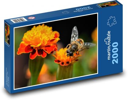 Včela - hmyz, květina - Puzzle 2000 dílků, rozměr 90x60 cm