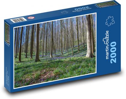 Les - stromy, příroda - Puzzle 2000 dílků, rozměr 90x60 cm