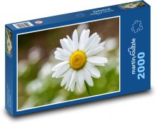Heřmánek - květina, jaro Puzzle 2000 dílků - 90 x 60 cm