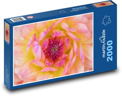 Dahlia - flower, flower - Puzzle 2000 pieces, size 90x60 cm 
