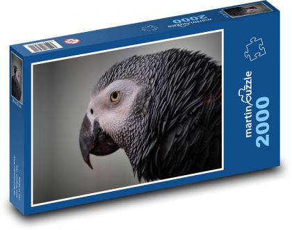 Papoušek - pták, zvíře - Puzzle 2000 dílků, rozměr 90x60 cm