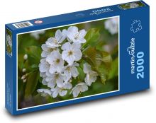 Kwiat - wiosna, natura Puzzle 2000 elementów - 90x60 cm
