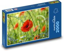 Poppies - nature, flowers Puzzle 2000 pieces - 90 x 60 cm