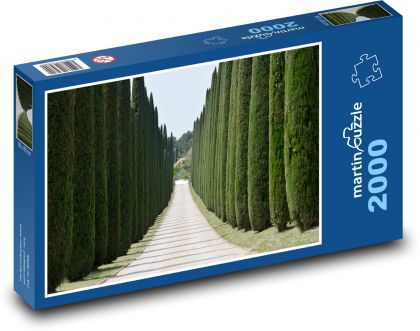 Zypressen - Bäume, Straße - Puzzle - 2000 Teile
