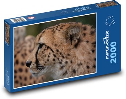 Gepard - šelma, zviera - Puzzle 2000 dielikov, rozmer 90x60 cm 