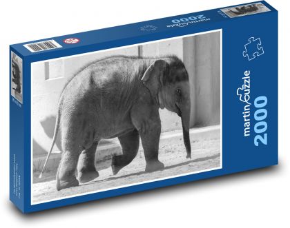 Slůně - mládě savec - Puzzle 2000 dílků, rozměr 90x60 cm