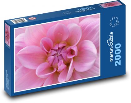 Jiřina - růžový květ - Puzzle 2000 dílků, rozměr 90x60 cm