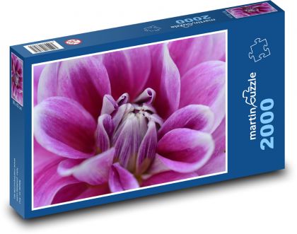 Jiřina - fialová květina - Puzzle 2000 dílků, rozměr 90x60 cm