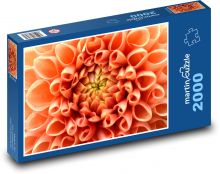 Jiřina - květ, oranžová Puzzle 2000 dílků - 90 x 60 cm
