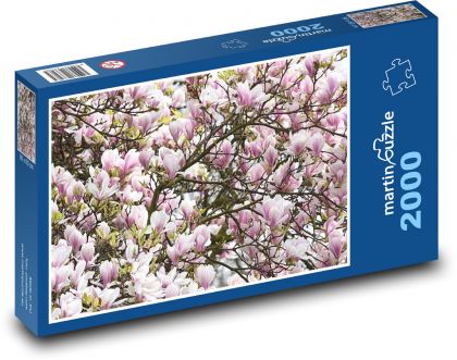 Kvitnúca magnólia - Puzzle 2000 dielikov, rozmer 90x60 cm 