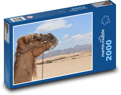 Velbloud - poušť, zvíře - Puzzle 2000 dílků, rozměr 90x60 cm