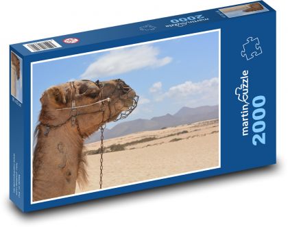 Camel in the desert - Puzzle 2000 pieces, size 90x60 cm 