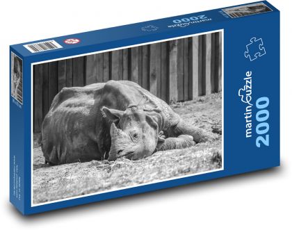 Nosorožec - zviera, roh - Puzzle 2000 dielikov, rozmer 90x60 cm 