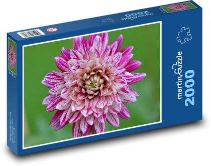 Dahlie - Blume, lila - Puzzle - 2000 Teile