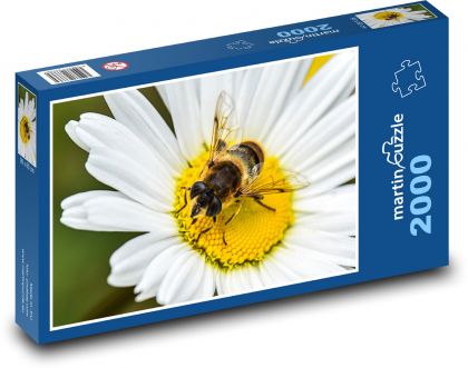 Pszczoła na kwiatku - Puzzle 2000 elementów, rozmiar 90x60 cm