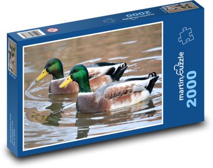 Kačer - ptáci, voda - Puzzle 2000 dílků, rozměr 90x60 cm