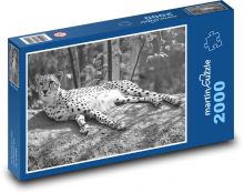Černobílý leopard Puzzle 2000 dílků - 90 x 60 cm