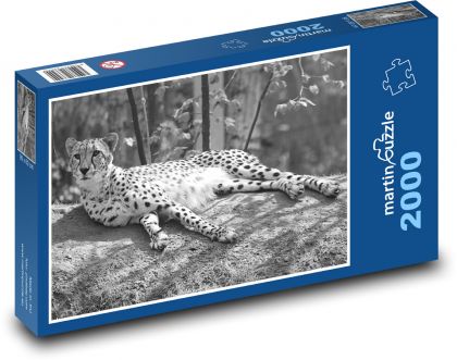 Leopard - cat, animal - Puzzle 2000 pieces, size 90x60 cm 