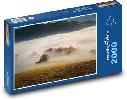 Trees - fog, meadow, forest - Puzzle 2000 pieces, size 90x60 cm 