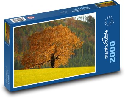 Podzim - strom, listí - Puzzle 2000 dílků, rozměr 90x60 cm