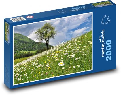 Rozkvetlá louka - puzzle 2000 dílků