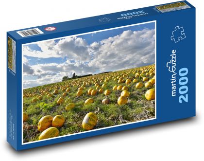 Dýně - dýňové pole, zelenina - Puzzle 2000 dílků, rozměr 90x60 cm
