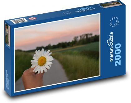 kvet rumančeka kamilkového - Puzzle 2000 dielikov, rozmer 90x60 cm 