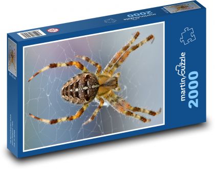 Pavouk - zvíře, pavučina - Puzzle 2000 dílků, rozměr 90x60 cm