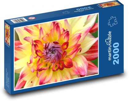 Yellow dahlias - Puzzle 2000 pieces, size 90x60 cm 