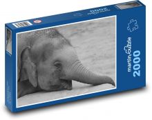 Słoń - zwierzę, Afryka Puzzle 2000 elementów - 90x60 cm