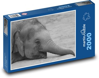 Słoń - zwierzę, Afryka - Puzzle 2000 elementów, rozmiar 90x60 cm