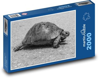Żółw w drodze - Puzzle 2000 elementów, rozmiar 90x60 cm