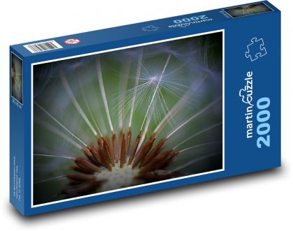 Dandelion - flower, fluff - Puzzle 2000 pieces, size 90x60 cm 