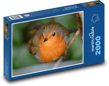 Červenka - příroda, pták - Puzzle 2000 dílků, rozměr 90x60 cm