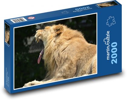 Lev, predátor, zvíře - Puzzle 2000 dílků, rozměr 90x60 cm