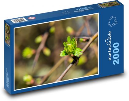 Frühling - Blätter, Natur - Puzzle - 2000 Teile