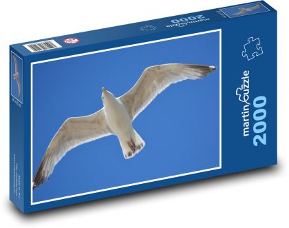 Racek - zvíře, křídla - Puzzle 2000 dílků, rozměr 90x60 cm