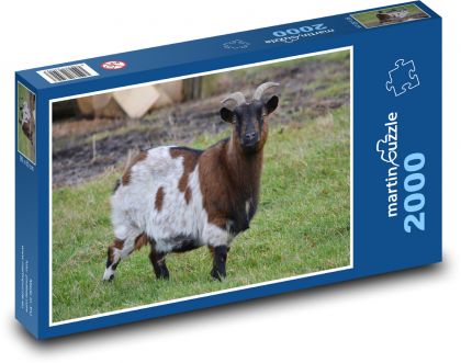 Ziege - Tier, Wiese - Puzzle - 2000 Teile