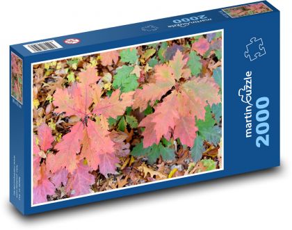 Jesienne liście na łonie natury - Puzzle 2000 elementów, rozmiar 90x60 cm