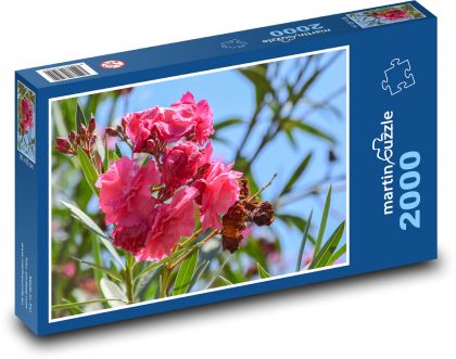 Oleander - flower, pink - Puzzle 2000 pieces, size 90x60 cm 