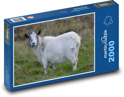 Ziege - Wiese, Tier - Puzzle - 2000 Teile