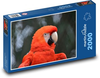 Papoušek - pták, zobák - Puzzle 2000 dílků, rozměr 90x60 cm