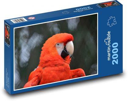Papagei - Vogel, Schnabel - Puzzle - 2000 Teile