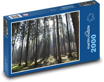 Les - příroda, stromy - puzzle 2000 dílků